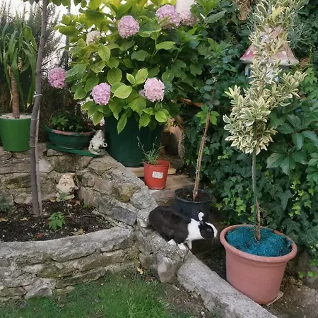 Petra Lejlighed Split