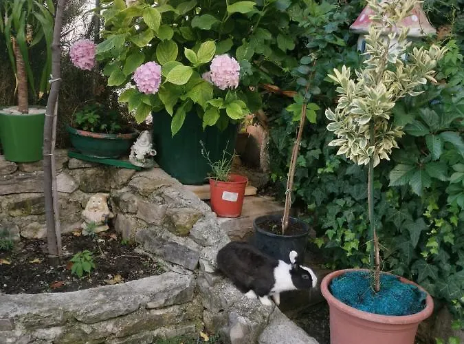 Petra Apartment Split